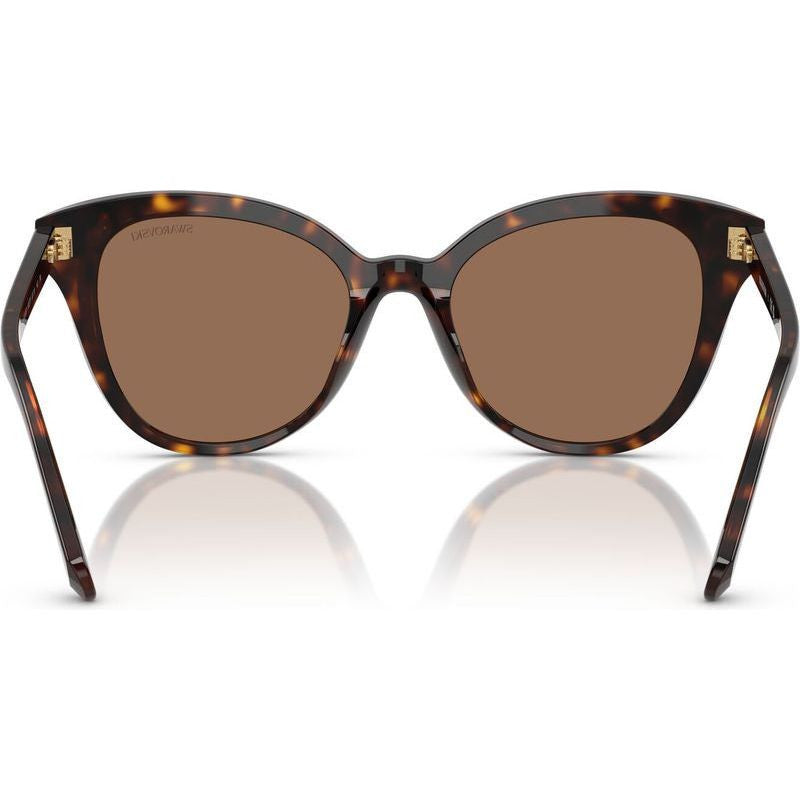 SK6031, Dark Havana/Dark Brown Lenses