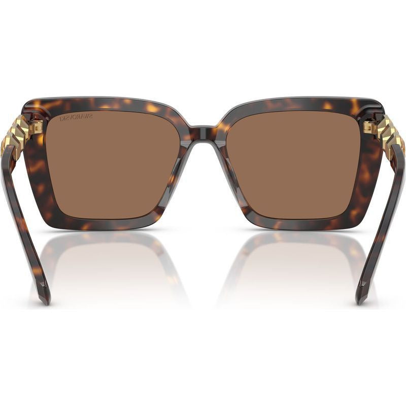SK6032, Havana/Dark Brown Lenses