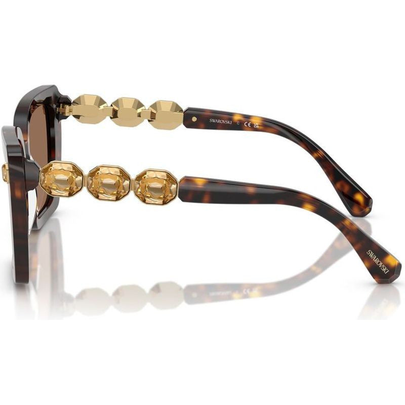 SK6032, Havana/Dark Brown Lenses