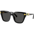 SK6041, Black/Dark Grey Lenses