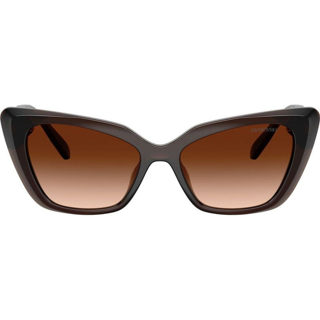 SK6047, Transparent Brown/Brown Gradient Lenses