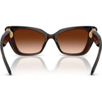 SK6047, Transparent Brown/Brown Gradient Lenses