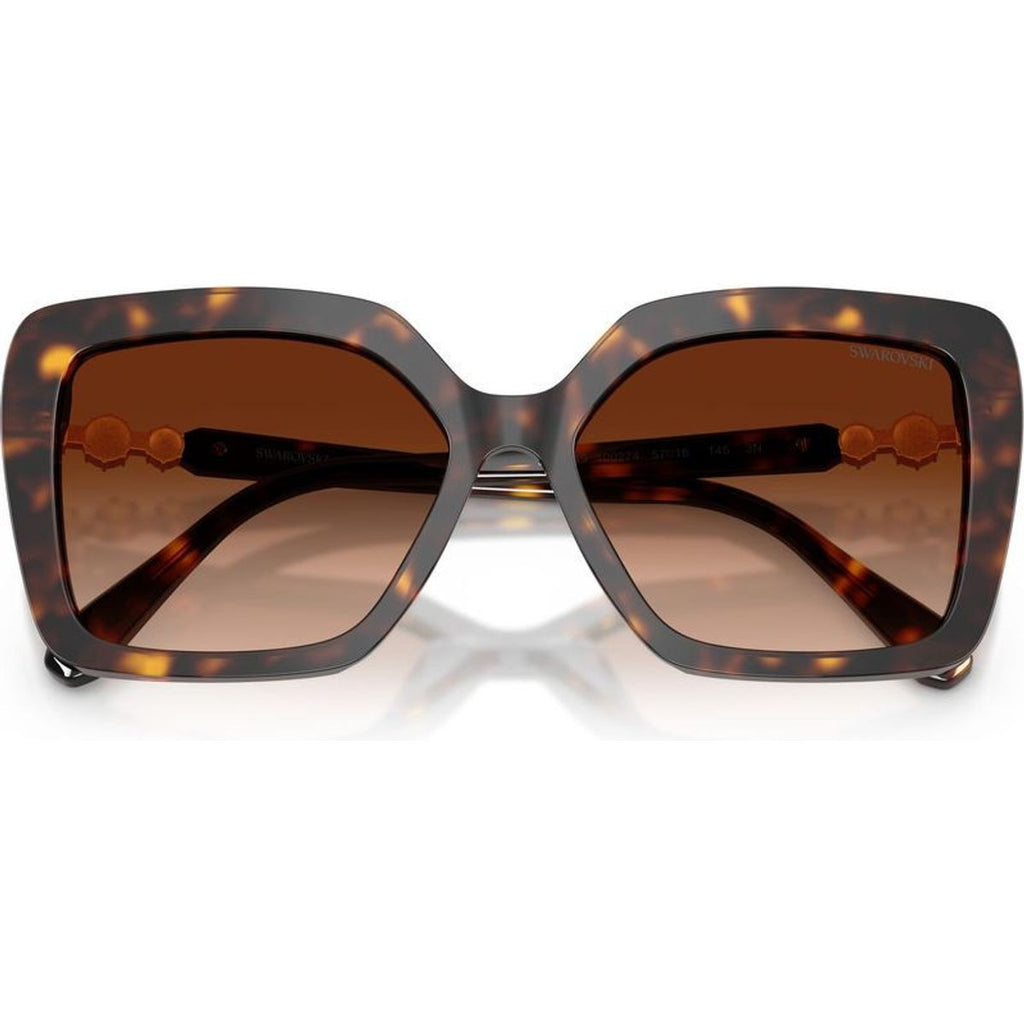 SK6049, Havana/Brown Gradient Lenses
