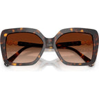 SK6049, Havana/Brown Gradient Lenses