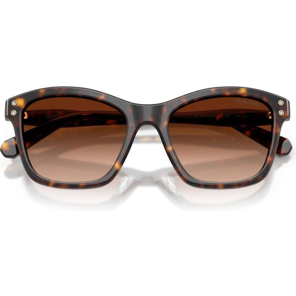 SK6063, Havana/Brown Gradient Lenses