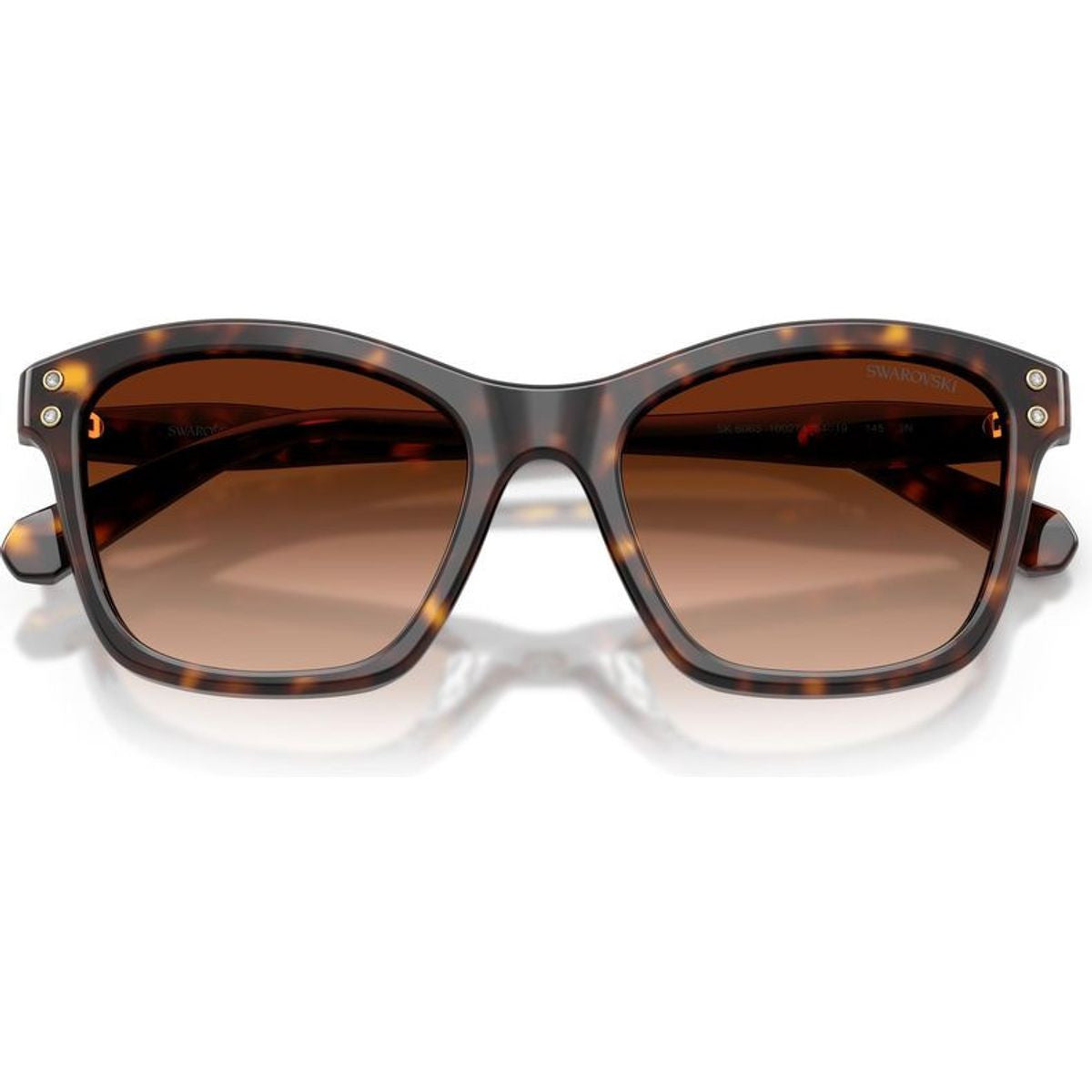 SK6063, Havana/Brown Gradient Lenses