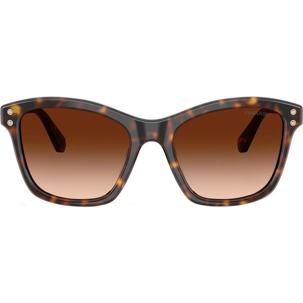 SK6063, Havana/Brown Gradient Lenses