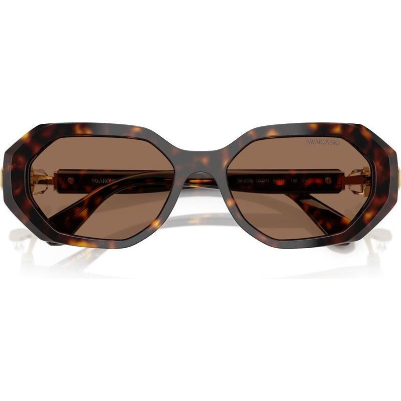 SK6028, Dark Havana/Dark Brown Lenses