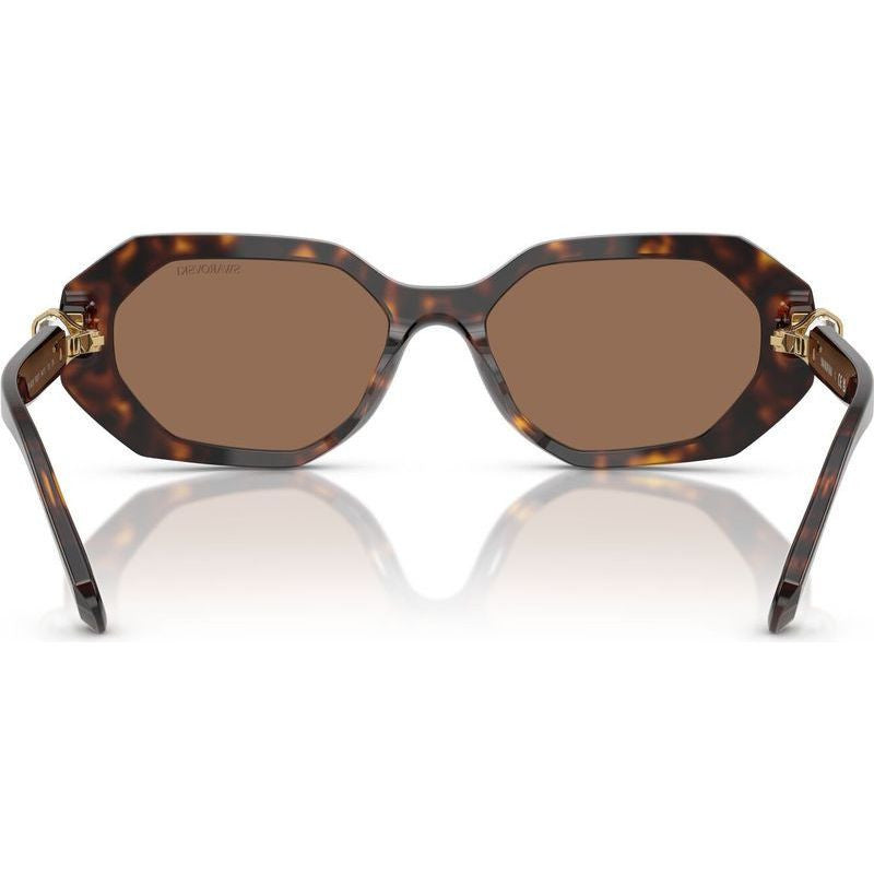 SK6028, Dark Havana/Dark Brown Lenses