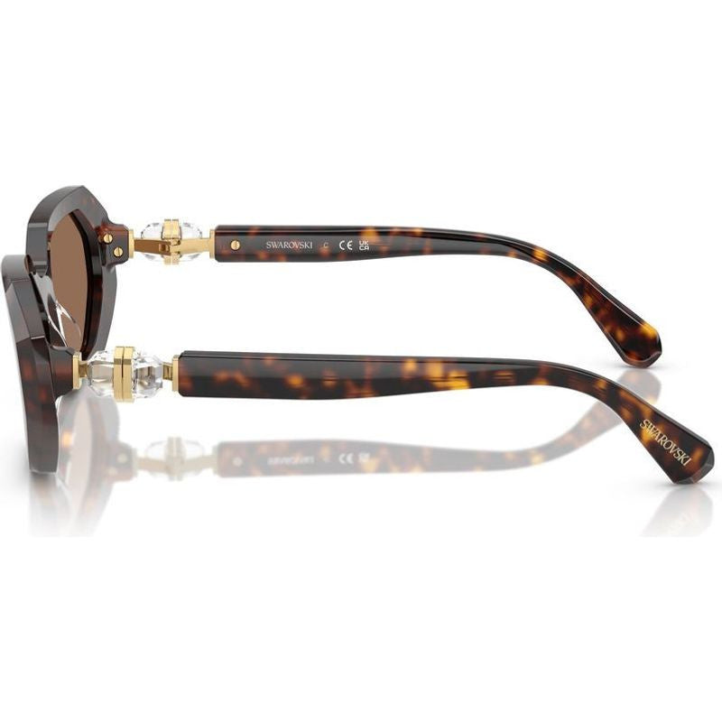 SK6028, Dark Havana/Dark Brown Lenses