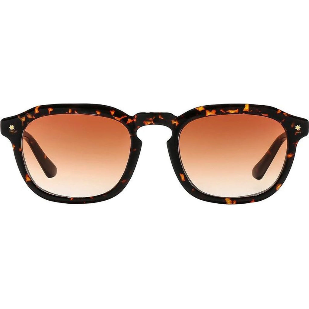 Archer, Wasp/Cinnamon Gradient Lenses