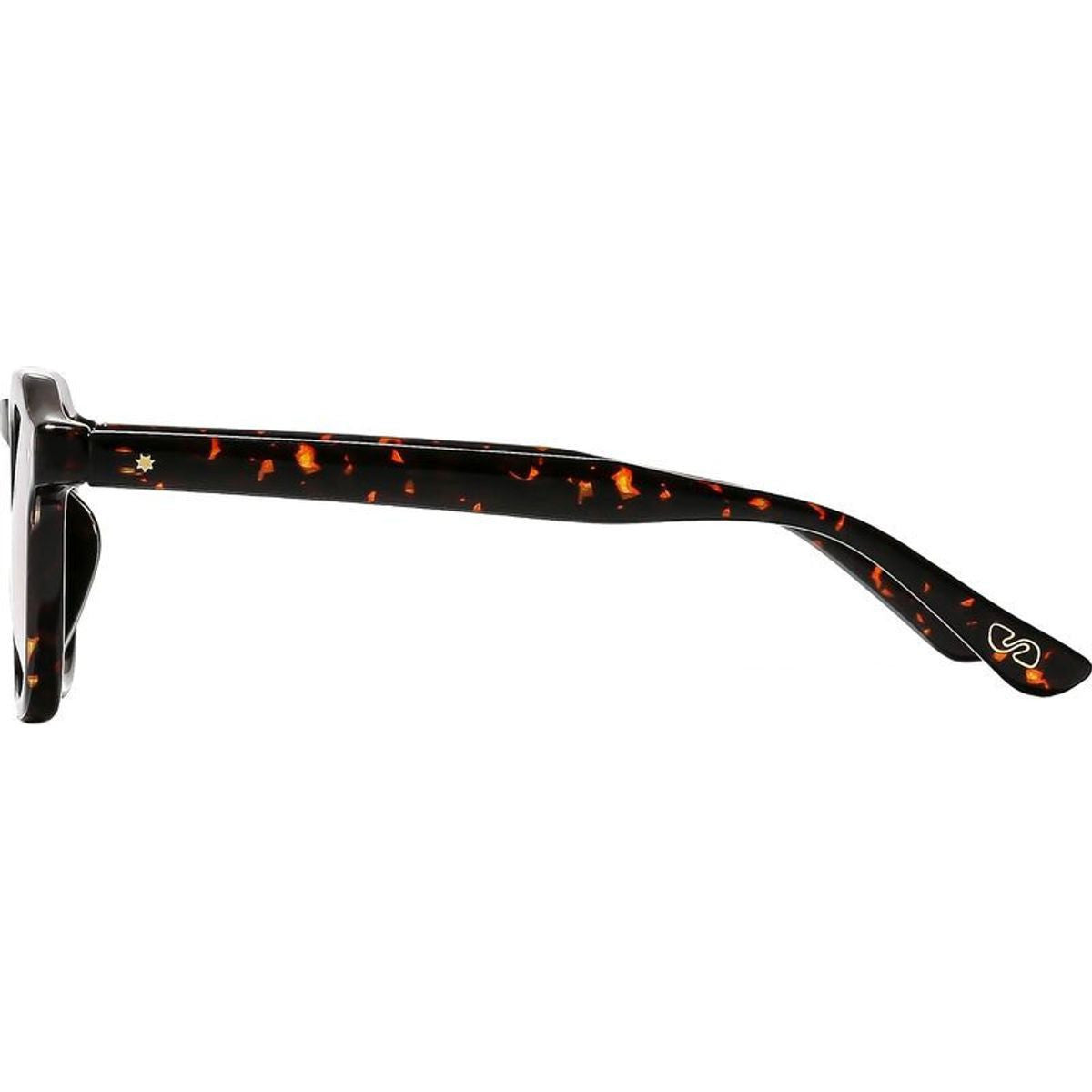 Archer, Wasp/Cinnamon Gradient Lenses
