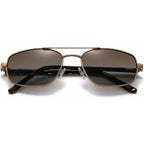 Astley, Polished Gold/Dune Brown Gradient Lenses