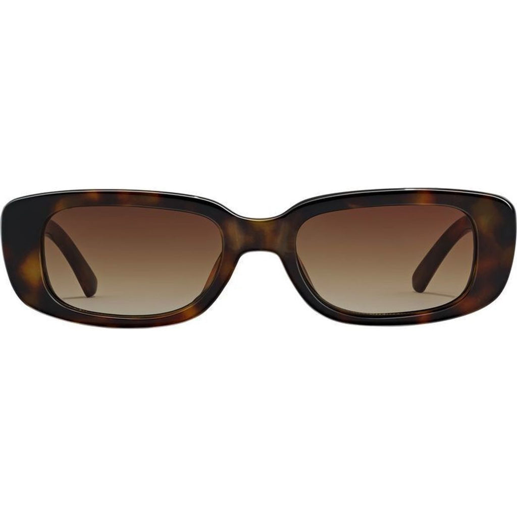 Dollin, Cape Tortoise/Dune Brown Gradient Lenses