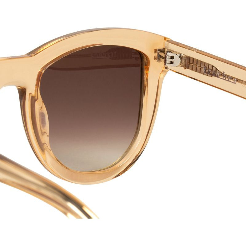 Trachea, Tangerine/Brown Gradient Lenses