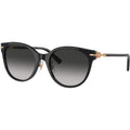 TF4223D, Black/Grey Gradient Lenses
