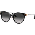 TF4223D, Black/Grey Gradient Lenses