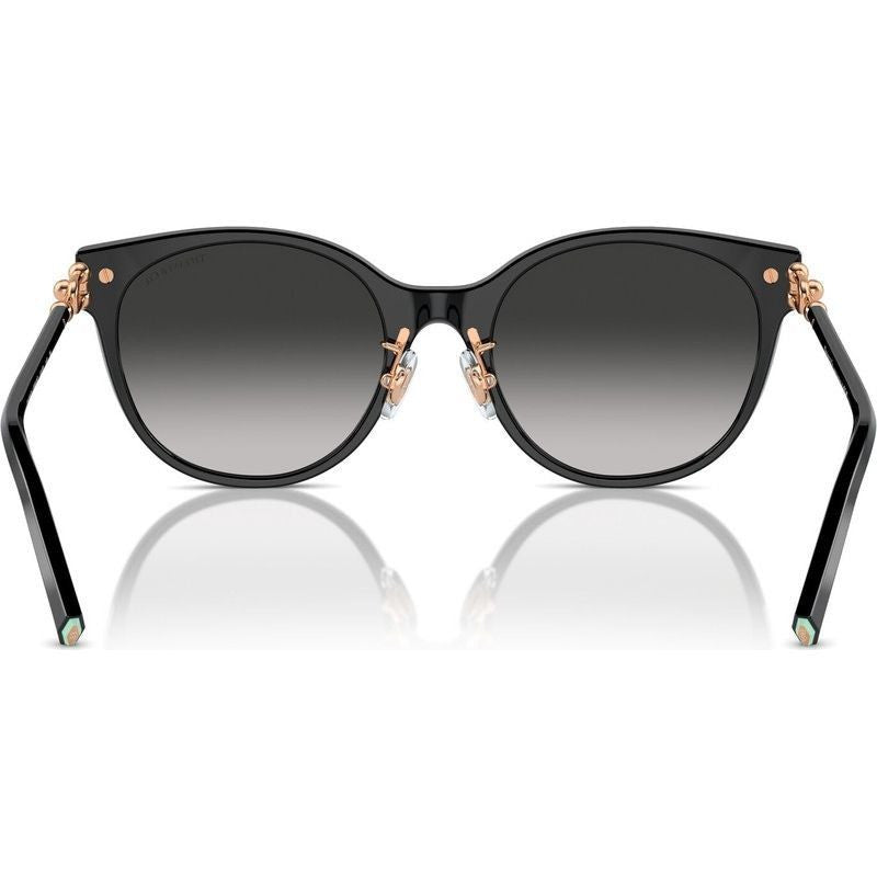 TF4223D, Black/Grey Gradient Lenses