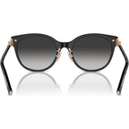 TF4223D, Black/Grey Gradient Lenses