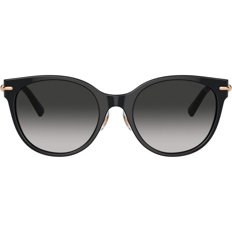 TF4223D, Black/Grey Gradient Lenses