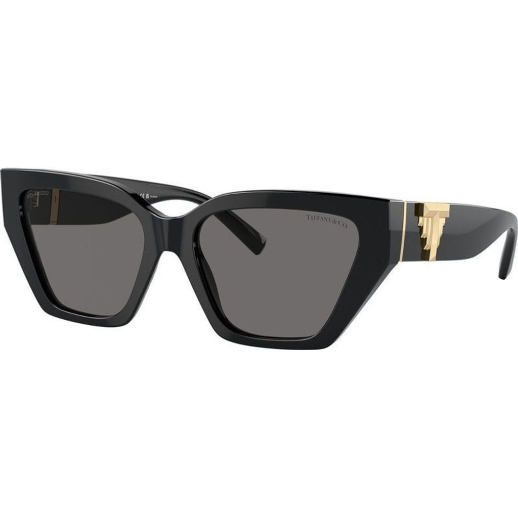 TF4218, Black/Dark Grey Polarised Lenses