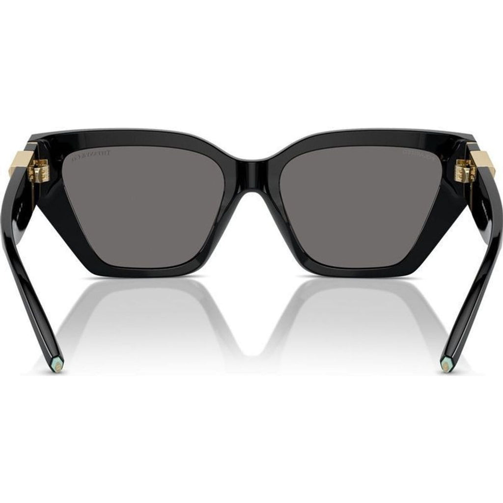 TF4218, Black/Dark Grey Polarised Lenses
