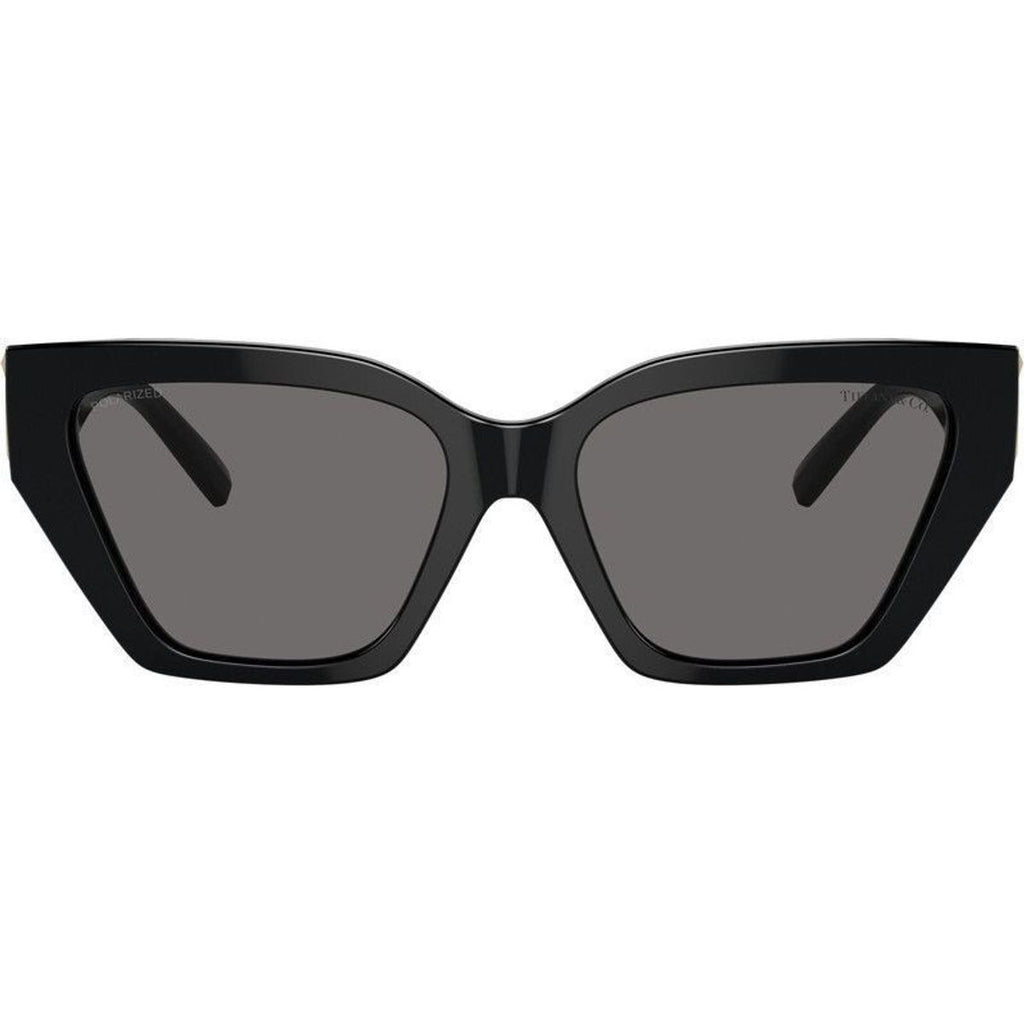 TF4218, Black/Dark Grey Polarised Lenses