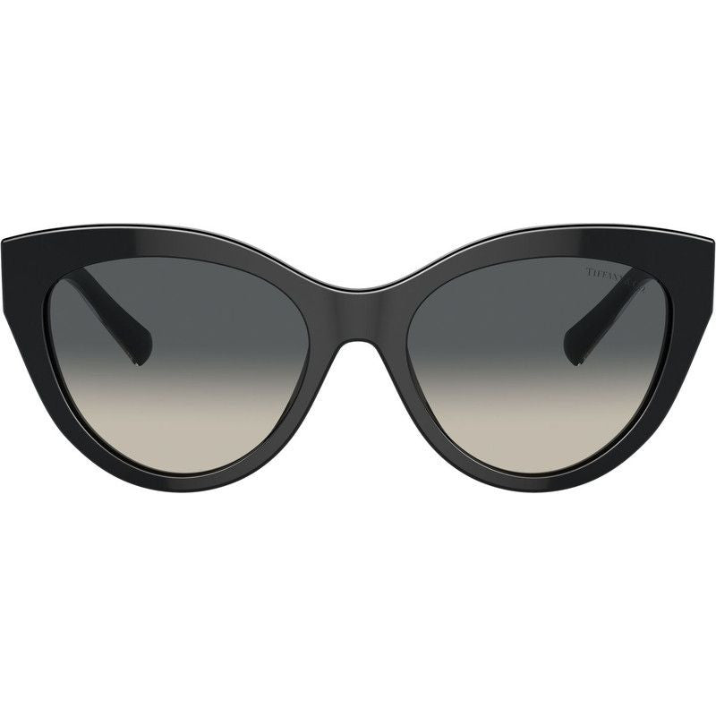 TF4220, Black/Grey Gradient Lenses
