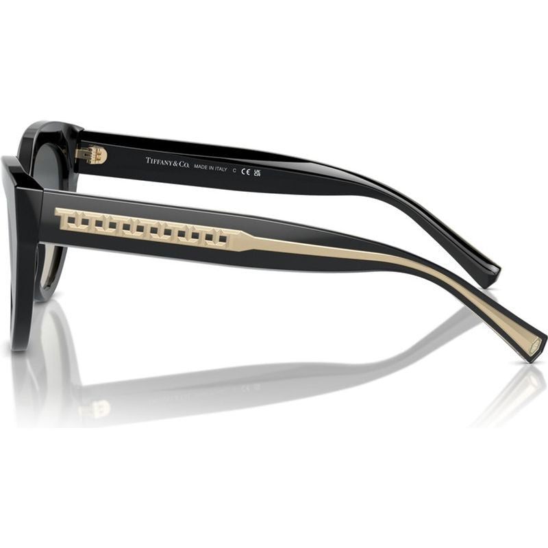 TF4220, Black/Grey Gradient Lenses