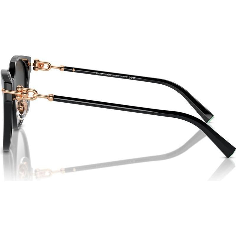 TF4223D, Black/Grey Gradient Lenses