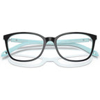 TF2109BF, Black on Striped Tiffany Blue/Clear Lenses