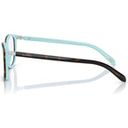TF2109BF, Havana on Tiffany Blue/Clear Lenses