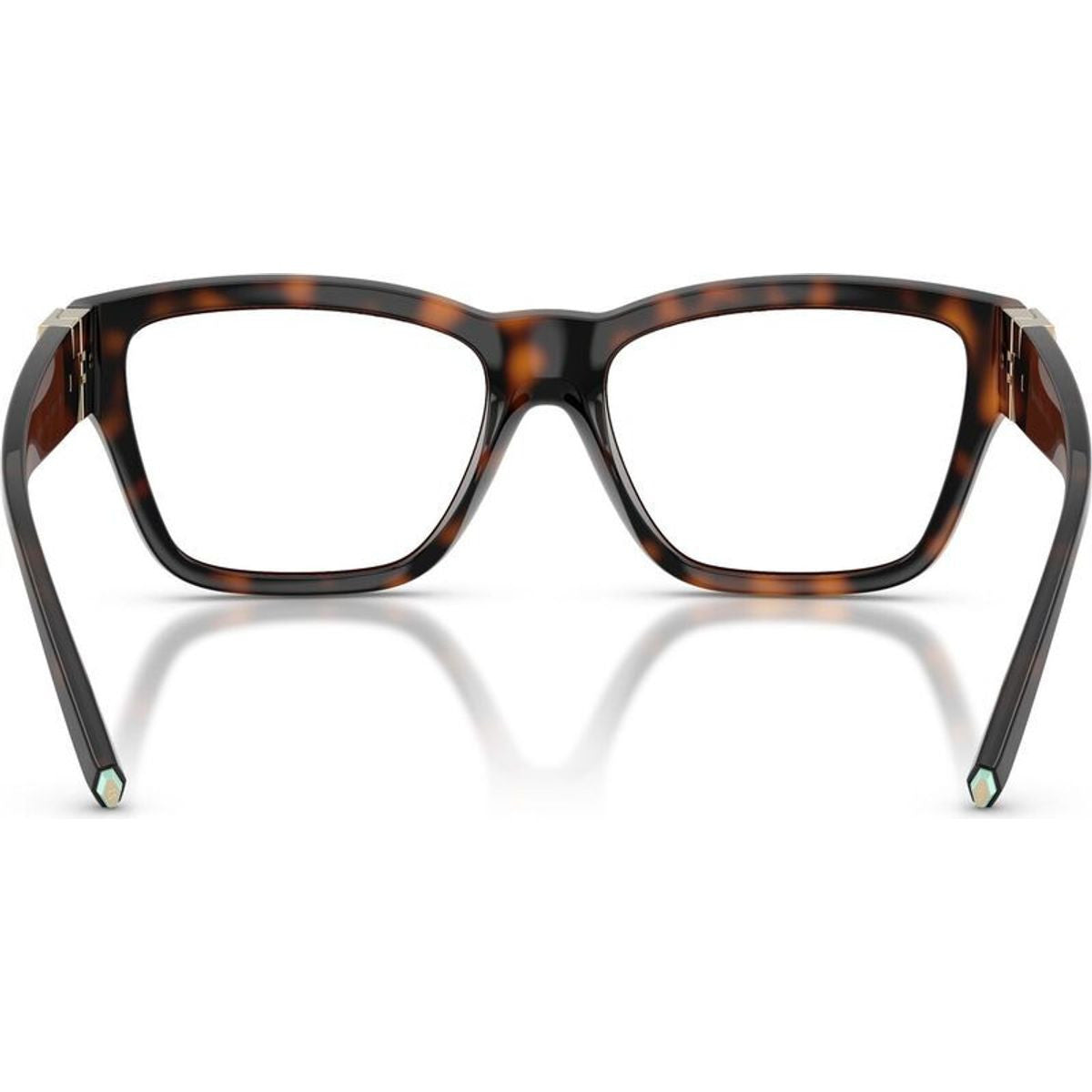 TF2285U, Havana/Clear Lenses 53 Eye Size