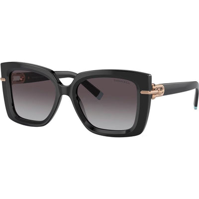 TF4199, Black/Grey Gradient Lenses