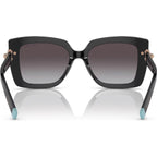 TF4199, Black/Grey Gradient Lenses