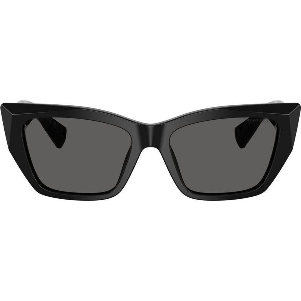 TF4230, Black/Dark Grey Lenses