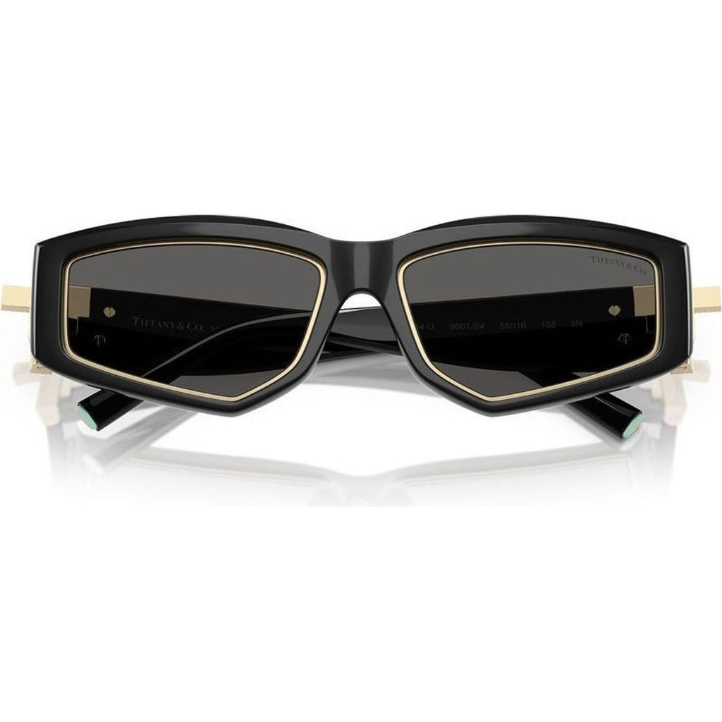 TF4234U, Black/Dark Grey Lenses
