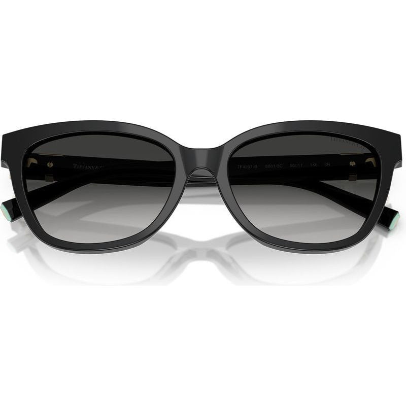 TF4237B, Black/Grey Gradient Lenses