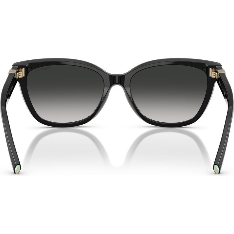 TF4237B, Black/Grey Gradient Lenses