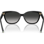 TF4237B, Black/Grey Gradient Lenses