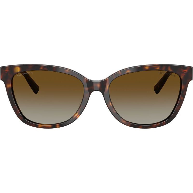 TF4237B, Havana/Brown Gradient Polarised Lenses