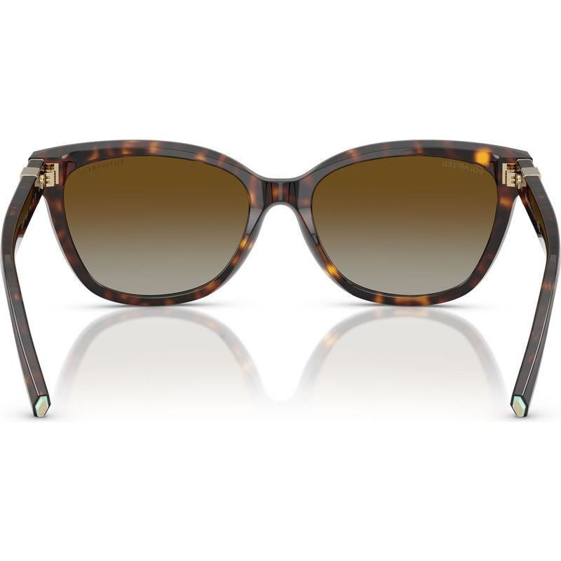 TF4237B, Havana/Brown Gradient Polarised Lenses
