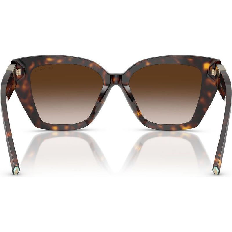 TF4239U, Havana/Brown Gradient Lenses