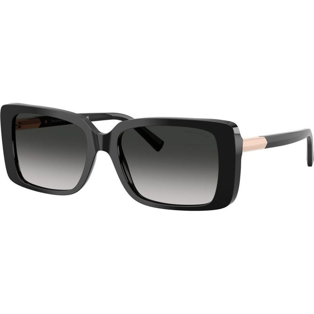TF4249, Black/Grey Gradient Lenses