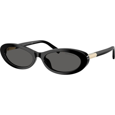 TF4250, Black/Dark Grey Lenses