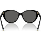 TF4251, Black/Dark Grey Lenses