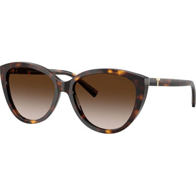 TF4251, Havana/Brown Gradient Lenses
