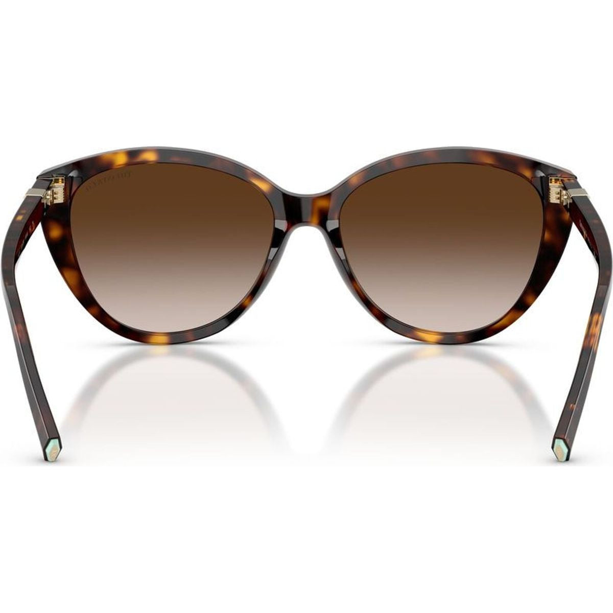 TF4251, Havana/Brown Gradient Lenses