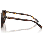 TF4251, Havana/Brown Gradient Lenses