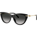 TF4253, Black/Grey Gradient Lenses